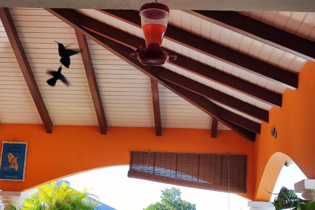 Villa Anolis, Sainte Luce, Piscine, Vue Mer, 4* ภายนอก รูปภาพ