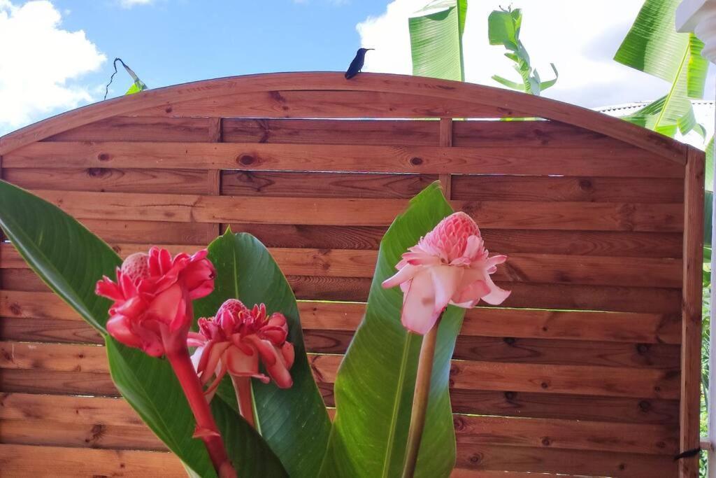 Villa Anolis, Sainte Luce, Piscine, Vue Mer, 4* ภายนอก รูปภาพ